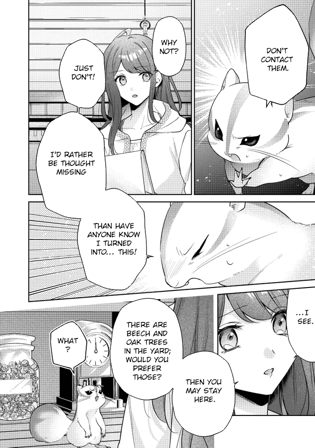 My Fiancé, Who Used to Hate Me, Turned into a Squirrel and Came to Me for Help. Chapter 1 Page 42
